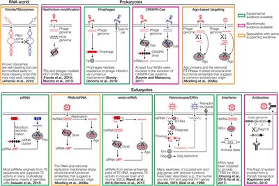 Evolution of Immune Systems From Viruses and Transposable Elements